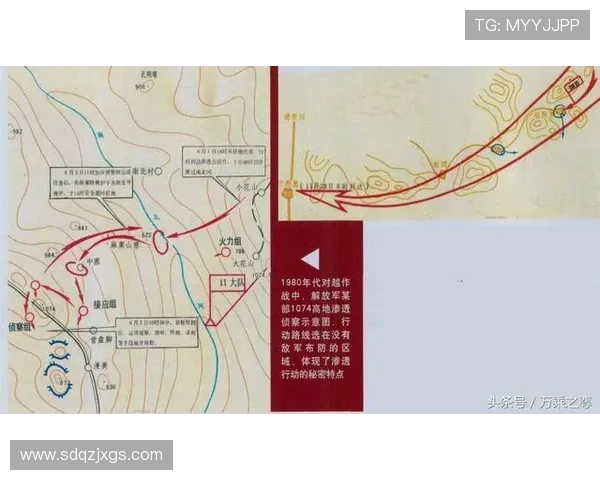 重庆排球队创新边路渗透战术提升整体实力的深度剖析与展望