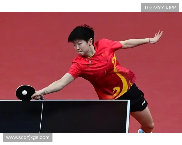 杭州乒乓球队在全国耐力排行榜中荣获第四名的辉煌成就