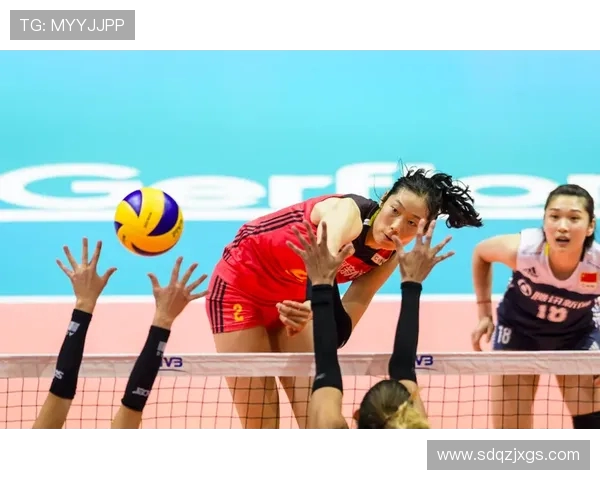 杭州排球队总决赛精彩表现分析与未来展望